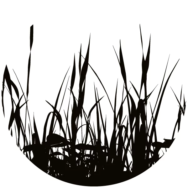 Texture Herbe pour poubelle de tri Naturen Texture Herbe pour poubelle de tri Naturen