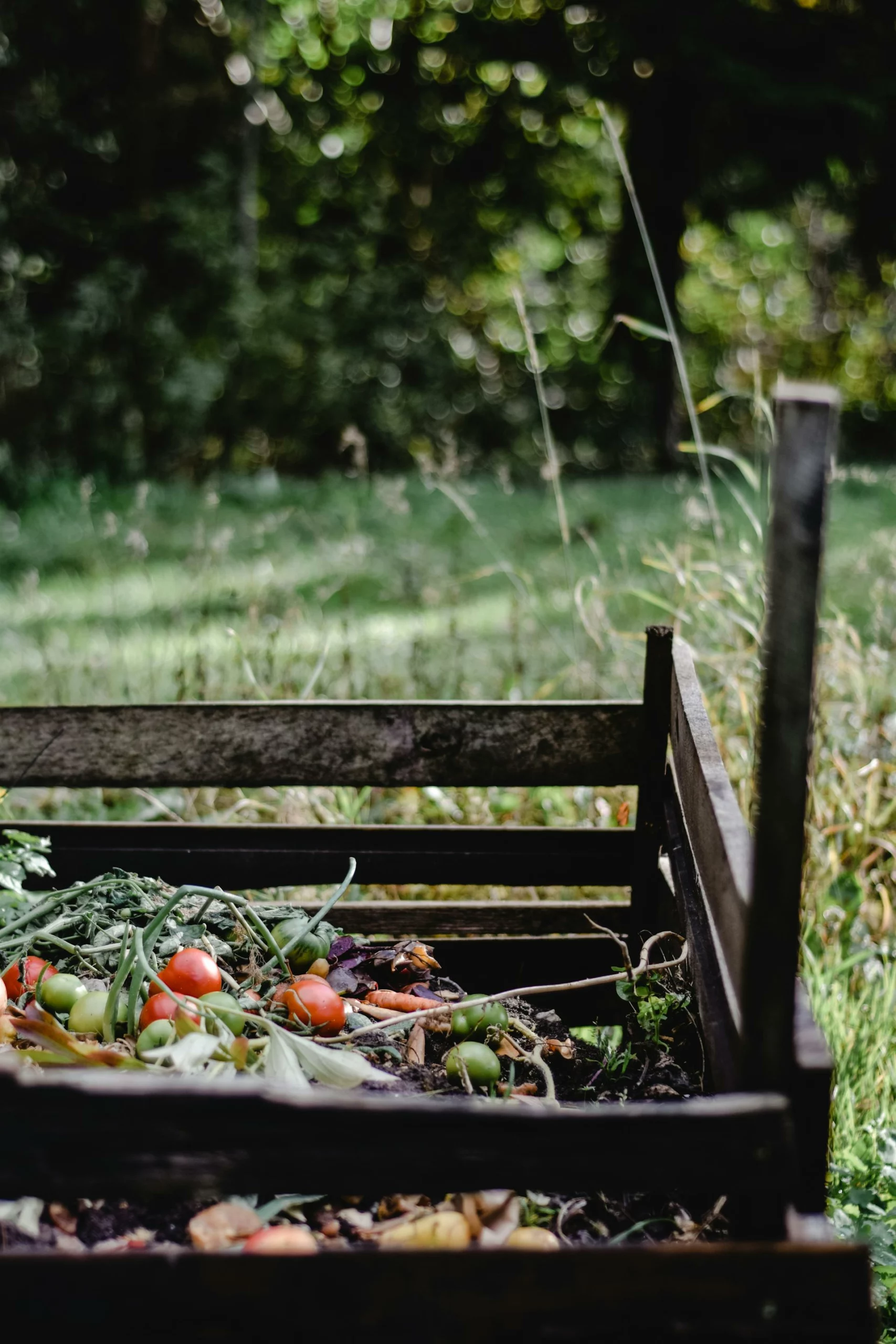 comment-faire-du-compost-1