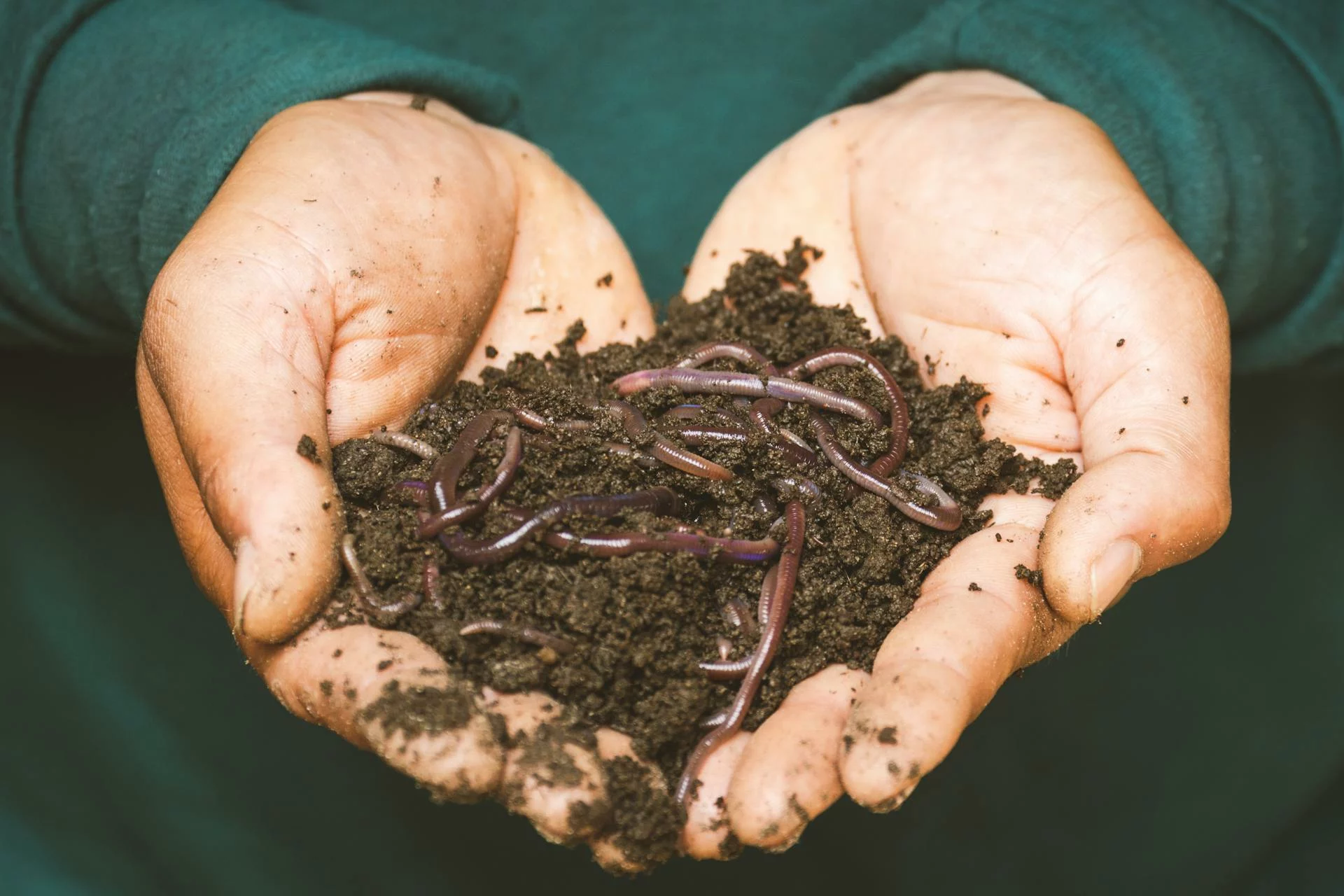 comment-faire-du-compost-2