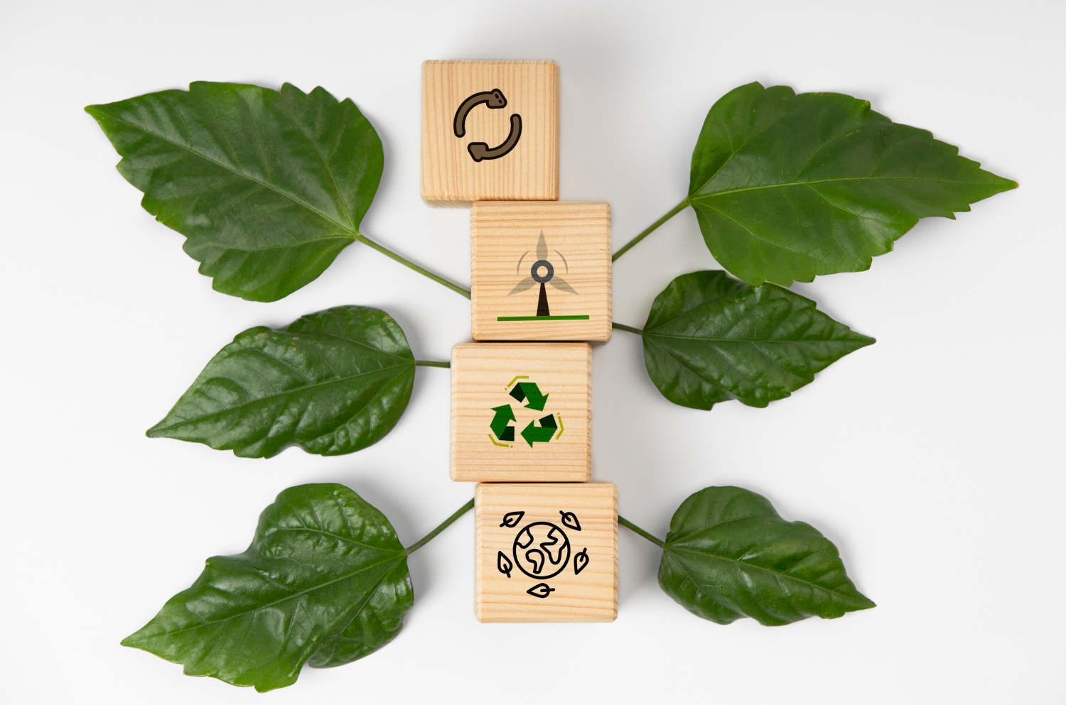 pilier du développement durable