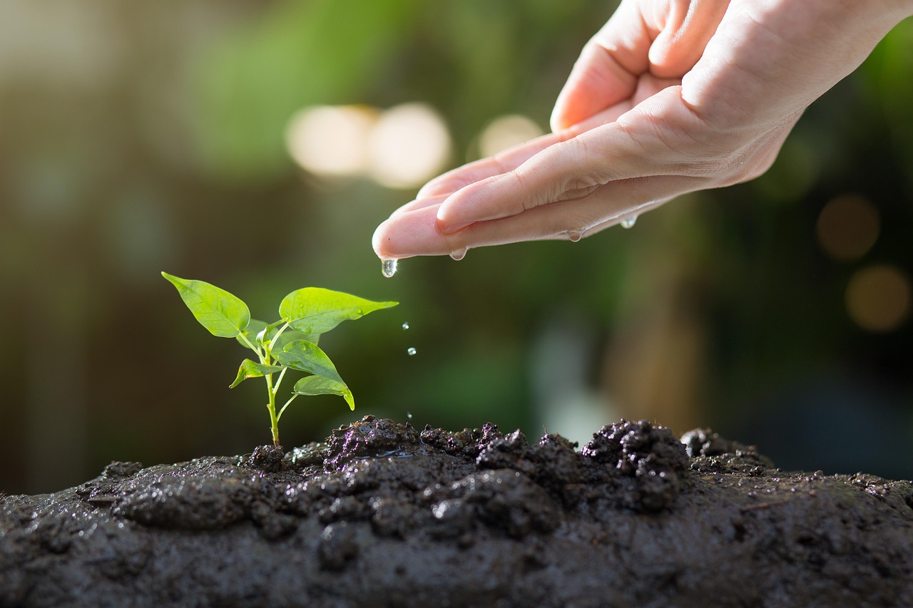 Comment mesurer et réduire son empreinte écologique au quotidien ?