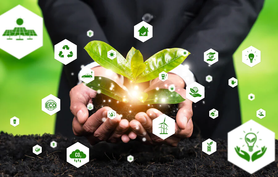 Qu'est-ce qu'une entreprise éco-responsable ?